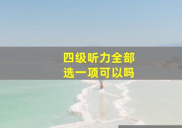 四级听力全部选一项可以吗