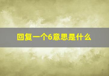 回复一个6意思是什么