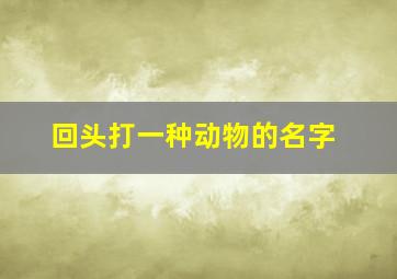 回头打一种动物的名字