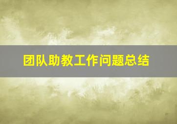 团队助教工作问题总结