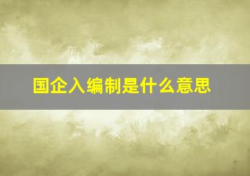 国企入编制是什么意思