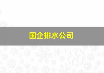 国企排水公司