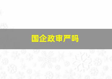 国企政审严吗