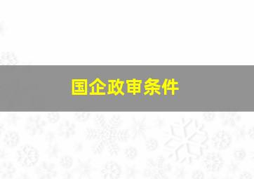 国企政审条件