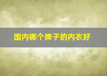 国内哪个牌子的内衣好