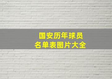 国安历年球员名单表图片大全