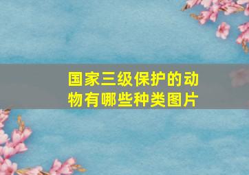 国家三级保护的动物有哪些种类图片