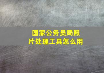 国家公务员局照片处理工具怎么用