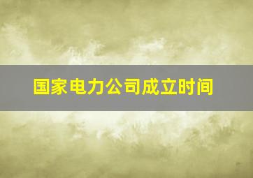 国家电力公司成立时间