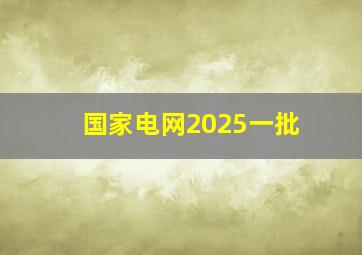 国家电网2025一批