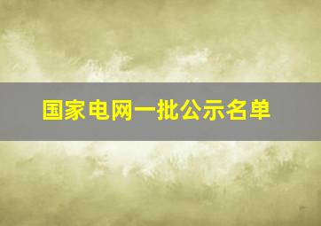 国家电网一批公示名单