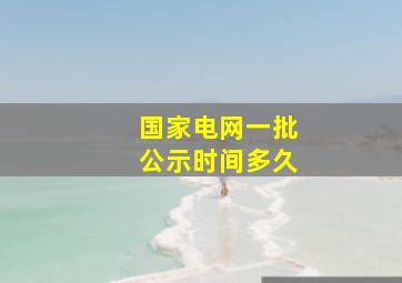 国家电网一批公示时间多久