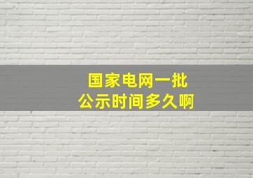 国家电网一批公示时间多久啊