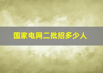 国家电网二批招多少人