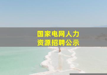 国家电网人力资源招聘公示