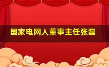 国家电网人董事主任张磊