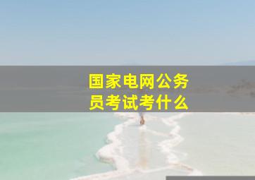 国家电网公务员考试考什么