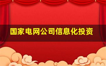 国家电网公司信息化投资