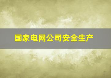 国家电网公司安全生产