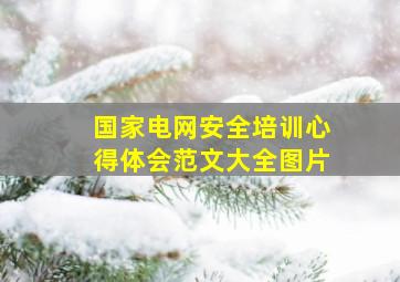 国家电网安全培训心得体会范文大全图片