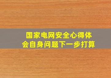 国家电网安全心得体会自身问题下一步打算