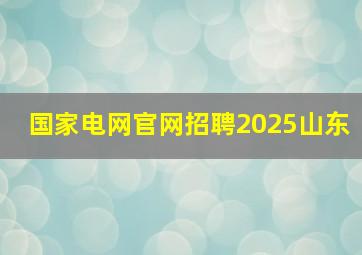 国家电网官网招聘2025山东