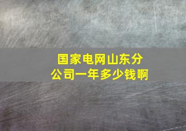 国家电网山东分公司一年多少钱啊