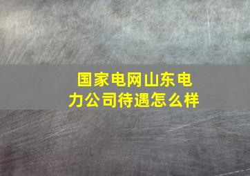 国家电网山东电力公司待遇怎么样