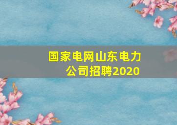 国家电网山东电力公司招聘2020