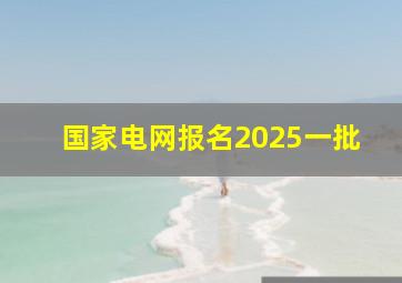 国家电网报名2025一批