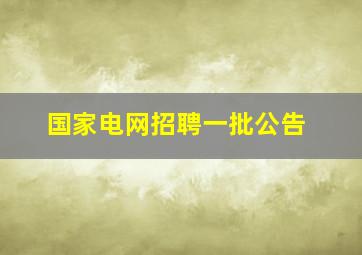 国家电网招聘一批公告