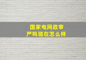 国家电网政审严吗现在怎么样