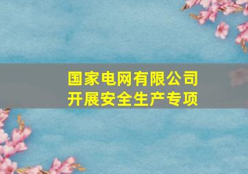 国家电网有限公司开展安全生产专项