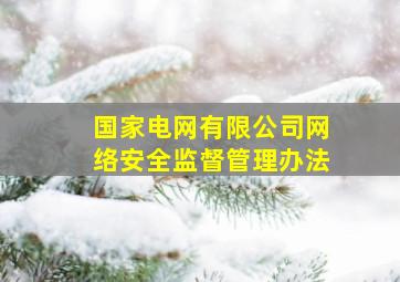 国家电网有限公司网络安全监督管理办法