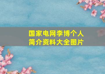 国家电网李博个人简介资料大全图片