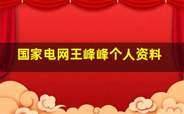 国家电网王峰峰个人资料