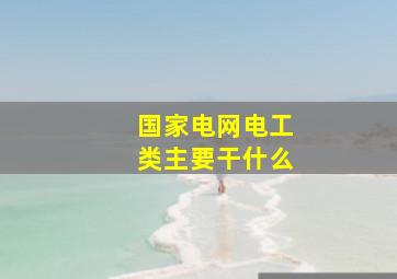 国家电网电工类主要干什么