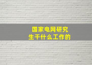 国家电网研究生干什么工作的