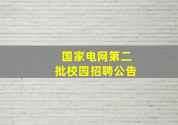 国家电网第二批校园招聘公告