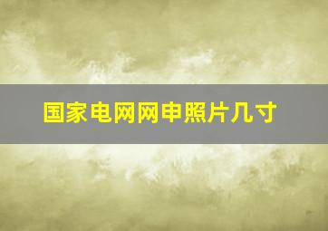 国家电网网申照片几寸