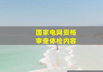 国家电网资格审查体检内容