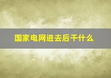 国家电网进去后干什么