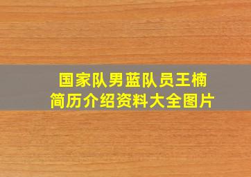 国家队男蓝队员王楠简历介绍资料大全图片