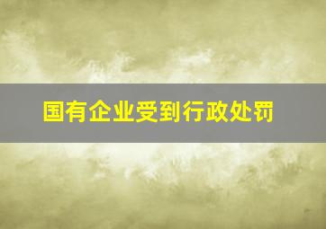 国有企业受到行政处罚