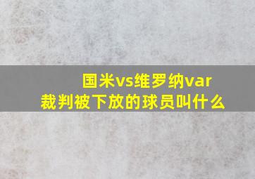 国米vs维罗纳var裁判被下放的球员叫什么