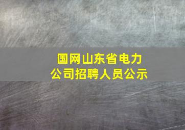 国网山东省电力公司招聘人员公示