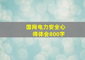 国网电力安全心得体会800字