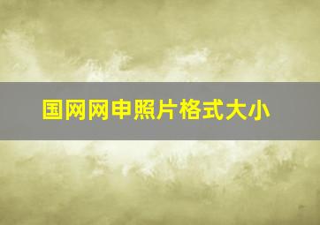 国网网申照片格式大小