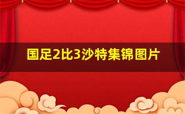 国足2比3沙特集锦图片