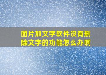 图片加文字软件没有删除文字的功能怎么办啊